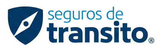 Logo Seguro Obligatorio